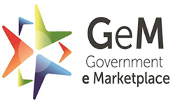 GEM Logo